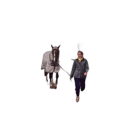 animal, creature, jacket, staff transparent PNG cut-out