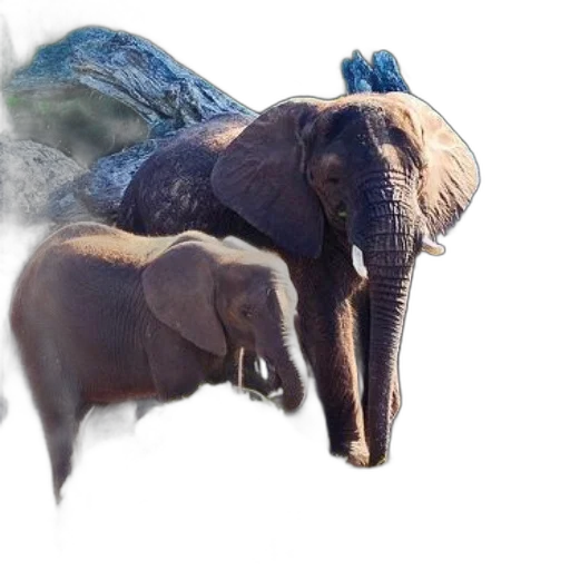 animal, dragon, creature, mask, concept art, photorealistic, fantasy art, 3d render transparent PNG cut-out