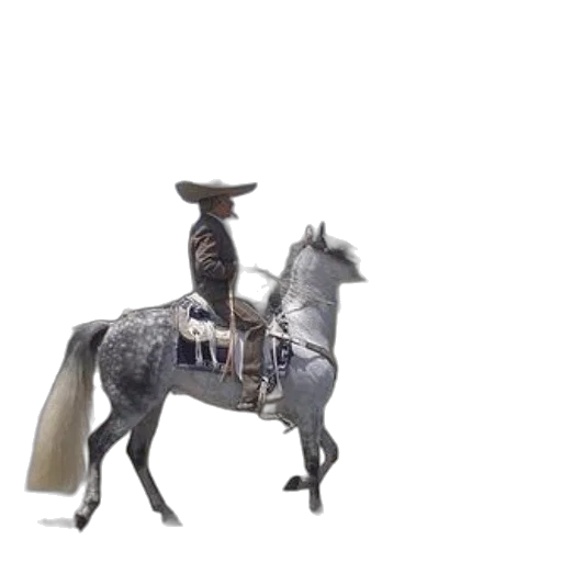 sword, animal, hat, staff, concept art, 3d render, fantasy art, photorealistic transparent PNG cut-out