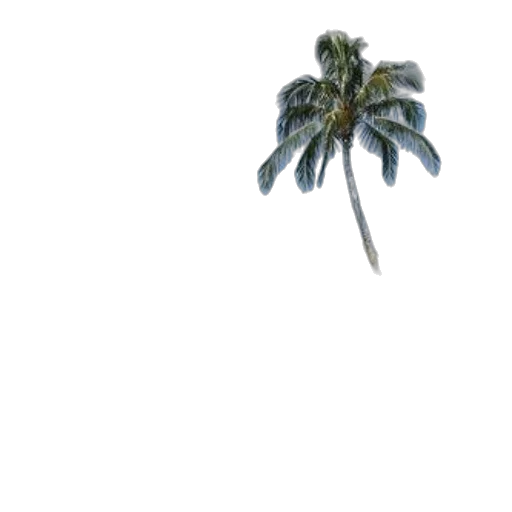 tree, umbrella, hat, weapon, photorealistic, 3d render, concept art, pixel art transparent PNG cut-out