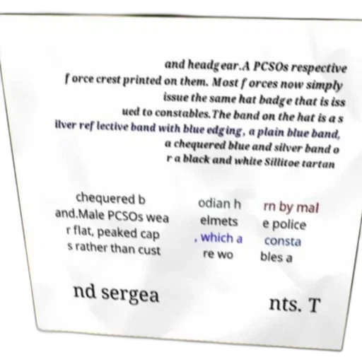detailed, description, police, headgear, including, various, band, designs transparent PNG cut-out