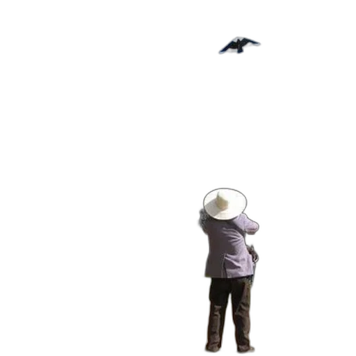 hat, umbrella, mask, animal, concept art, pixel art, photorealistic, 3d render transparent PNG cut-out