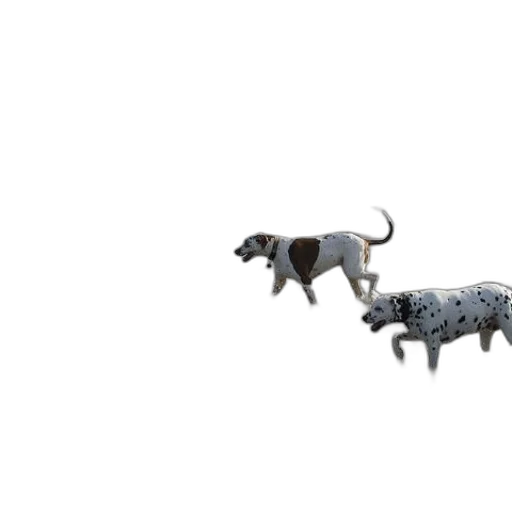 animal, creature, 3d render, concept art, photorealistic, pixel art, two, dogs transparent PNG cut-out