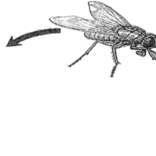 animal, staff, creature, robot, concept art, pencil sketch, photorealistic, pixel art transparent PNG cut-out
