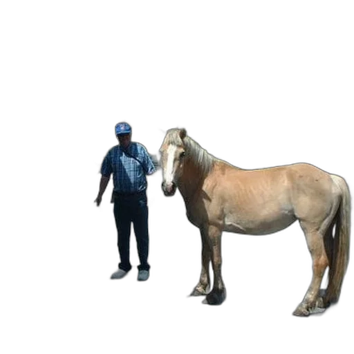 animal, creature, staff, weapon, 3d render, concept art, photorealistic, horse transparent PNG cut-out