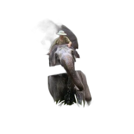 dragon, animal, creature, mask, 3d render, concept art, photorealistic, fantasy art transparent PNG cut-out