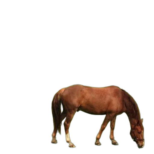 animal, creature, hair, furniture, 3d render, photorealistic, concept art, pixel art transparent PNG cut-out