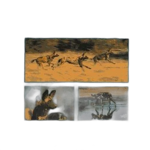 animal, dragon, oil painting, concept art, photorealistic, fantasy art, beach, forest transparent PNG cut-out