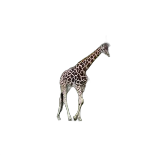 animal, creature, staff, hat, 3d render, concept art, photorealistic, pixel art transparent PNG cut-out