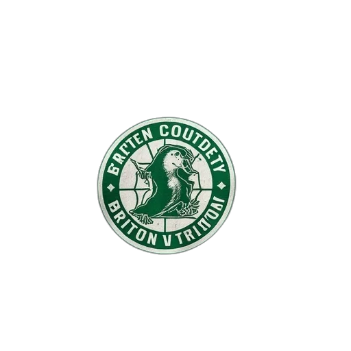 green, boston, shirt, being transparent PNG cut-out