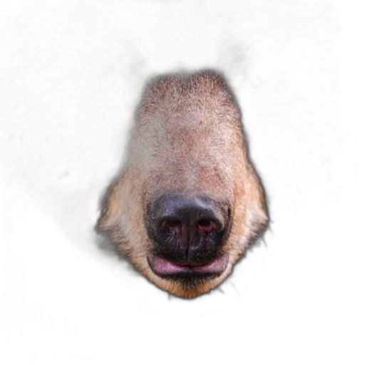 animal, face, creature, mask, photorealistic, 3d render, close-up, portrait transparent PNG cut-out