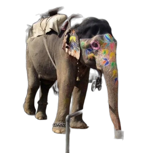 animal, staff, umbrella, creature, concept art, photorealistic, decorated, elephant transparent PNG cut-out