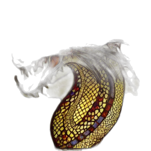 dragon, jewelry, crown, mask transparent PNG cut-out