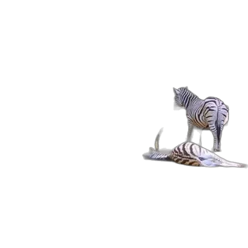 animal, dragon, creature, shoes, 3d render, concept art, photorealistic, fantasy art transparent PNG cut-out