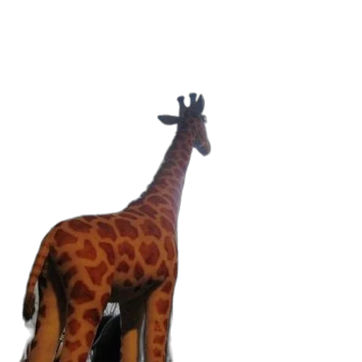 animal, creature, staff, furniture, 3d render, concept art, photorealistic, pixel art transparent PNG cut-out