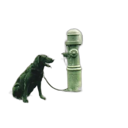 staff, animal, bottle, dragon, 3d render, concept art, black, dog transparent PNG cut-out