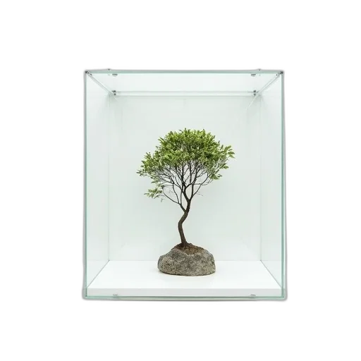 tree, furniture, crown, 3d render, photorealistic, concept art, underwater, forest transparent PNG cut-out