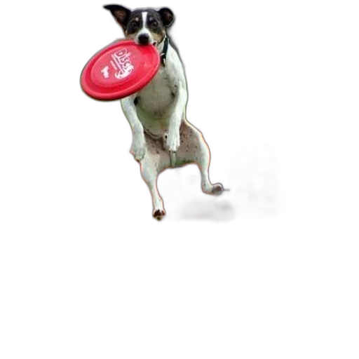 animal, hat, creature, staff, photorealistic, 3d render, concept art, dog transparent PNG cut-out