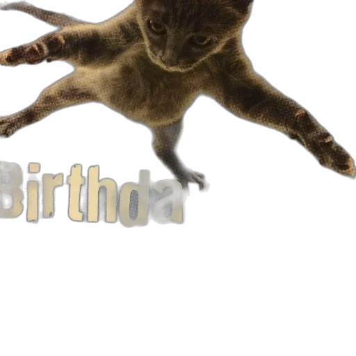 animal, creature, dragon, hat, 3d render, playful, birthday, card transparent PNG cut-out
