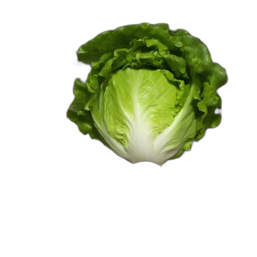 food, crown, face, animal, photorealistic, 3d render, pixel art, lettuce transparent PNG cut-out