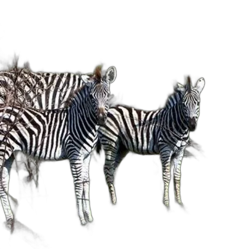 animal, jewelry, creature, 3d render, concept art, photorealistic, fantasy art, monochrome transparent PNG cut-out