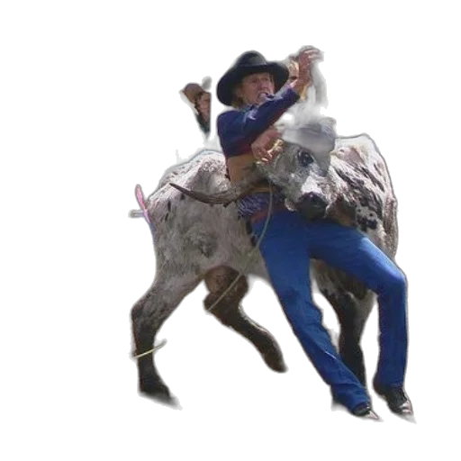 animal, hat, creature, concept art, man, cowboy, holding, onto transparent PNG cut-out