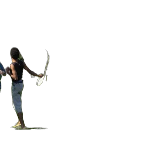 sword, weapon, staff, animal transparent PNG cut-out