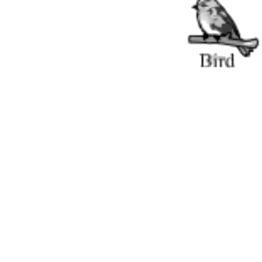 animal, jewelry, staff, monochrome, food, web, diagram, showing transparent PNG cut-out