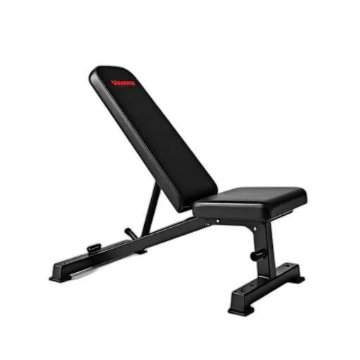 furniture, staff, 3d render, black, adjustable, weight, bench, red transparent PNG cut-out
