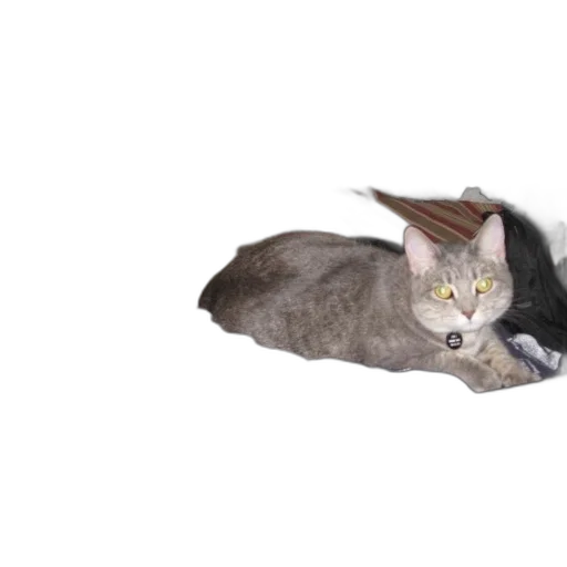 animal, hat, creature, umbrella, photorealistic, 3d render, concept art, vaporwave transparent PNG cut-out