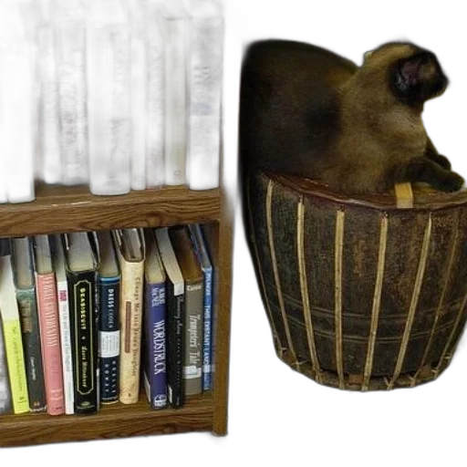 furniture, 3d render, cat, sits, barrel, next, bookshelf, filled transparent PNG cut-out