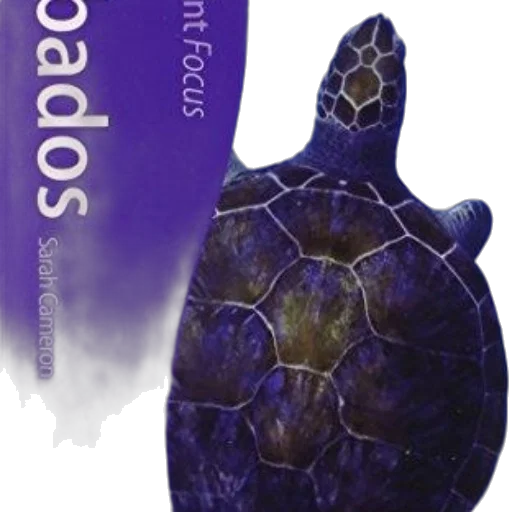 jewelry, animal, bottle, umbrella, 3d render, cover, book, magazine transparent PNG cut-out