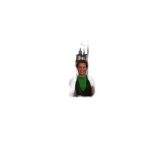 hat, crown, staff, pixel art, woman, stands, behind, counter transparent PNG cut-out