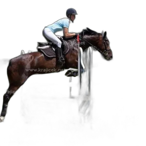 animal, photorealistic, concept art, 3d render, rider, brown, horse, jumps transparent PNG cut-out