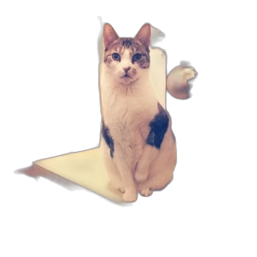animal, staff, creature, robot transparent PNG cut-out