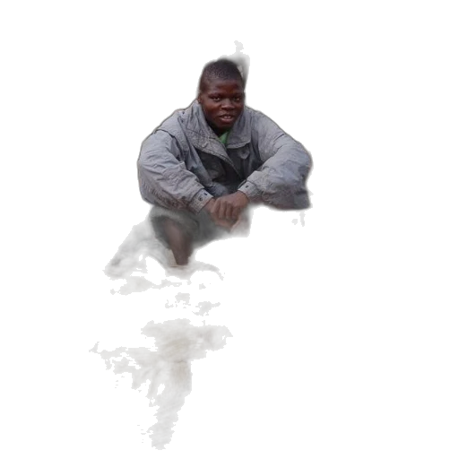 jacket, creature, face, animal, concept art, 3d render, photorealistic, pixel art transparent PNG cut-out