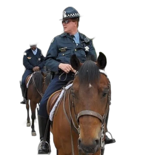 staff, animal, two, police, officers, horses, front, building transparent PNG cut-out