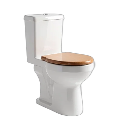 furniture, 3d render, white, toilet, wooden, seat, lid, shown transparent PNG cut-out