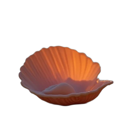 food, crown, flower, jewelry transparent PNG cut-out