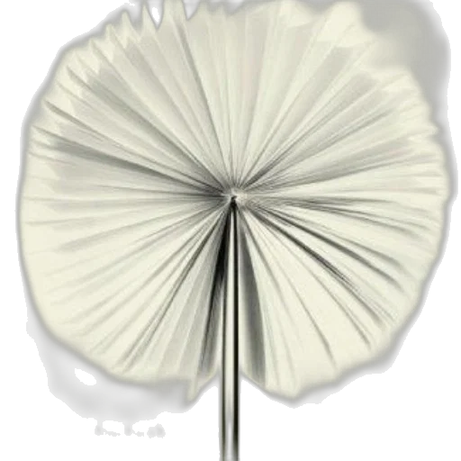 umbrella, flower, crown, staff, 3d render, photorealistic, concept art, monochrome transparent PNG cut-out
