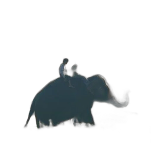 animal, dragon, creature, staff, concept art, photorealistic, 3d render, pixel art transparent PNG cut-out