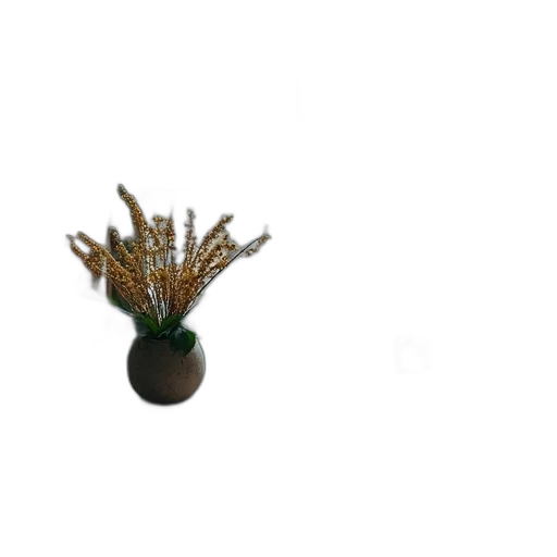 crown, jewelry, flower, hair transparent PNG cut-out