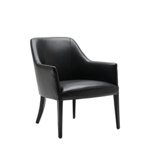 furniture, crown, 3d render, sleek, modern, chair, black, leather transparent PNG cut-out