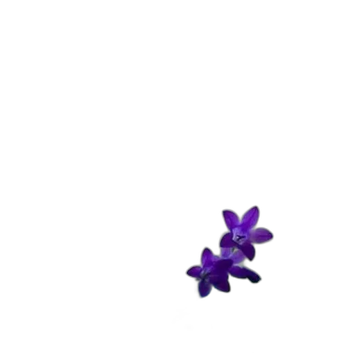 flower, weapon, creature, crown transparent PNG cut-out