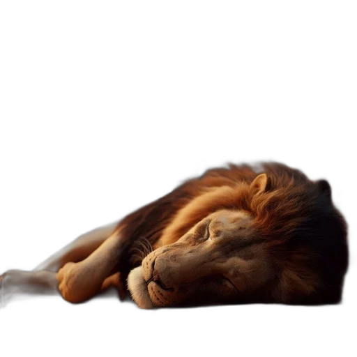 animal, crown, creature, hair, photorealistic, 3d render, concept art, oil painting transparent PNG cut-out