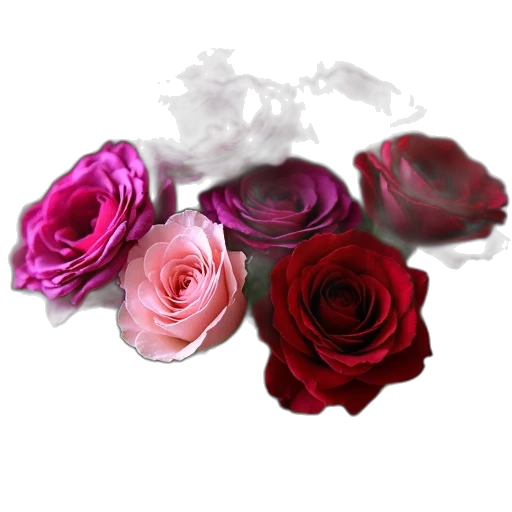 flower, jewelry, crown, staff transparent PNG cut-out
