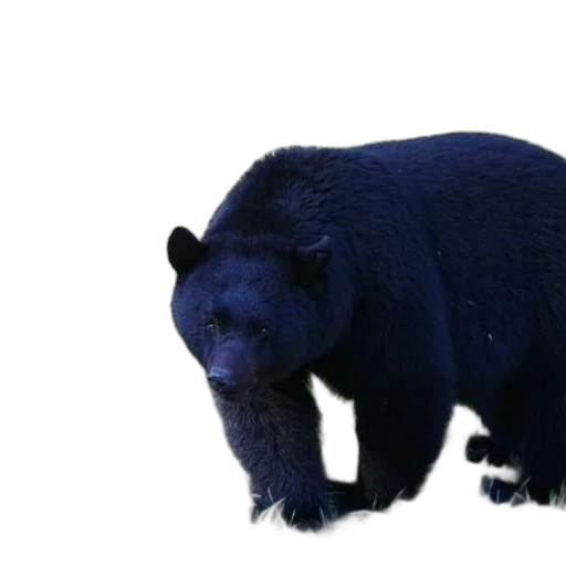 animal, creature, staff, face, 3d render, photorealistic, concept art, black transparent PNG cut-out