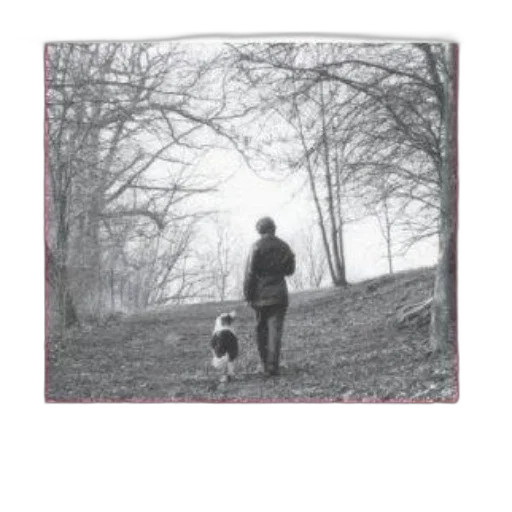 jacket, hat, staff, forest, book, cover, black, white transparent PNG cut-out