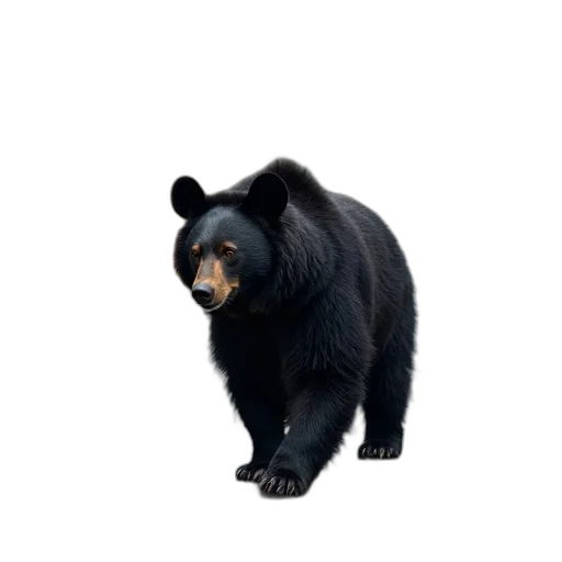 animal, creature, staff, face, 3d render, photorealistic, concept art, pixel art transparent PNG cut-out