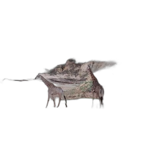 creature, animal, dragon, hat, concept art, 3d render, photorealistic, watercolor transparent PNG cut-out